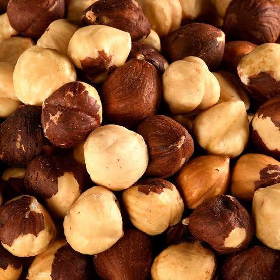 بندق