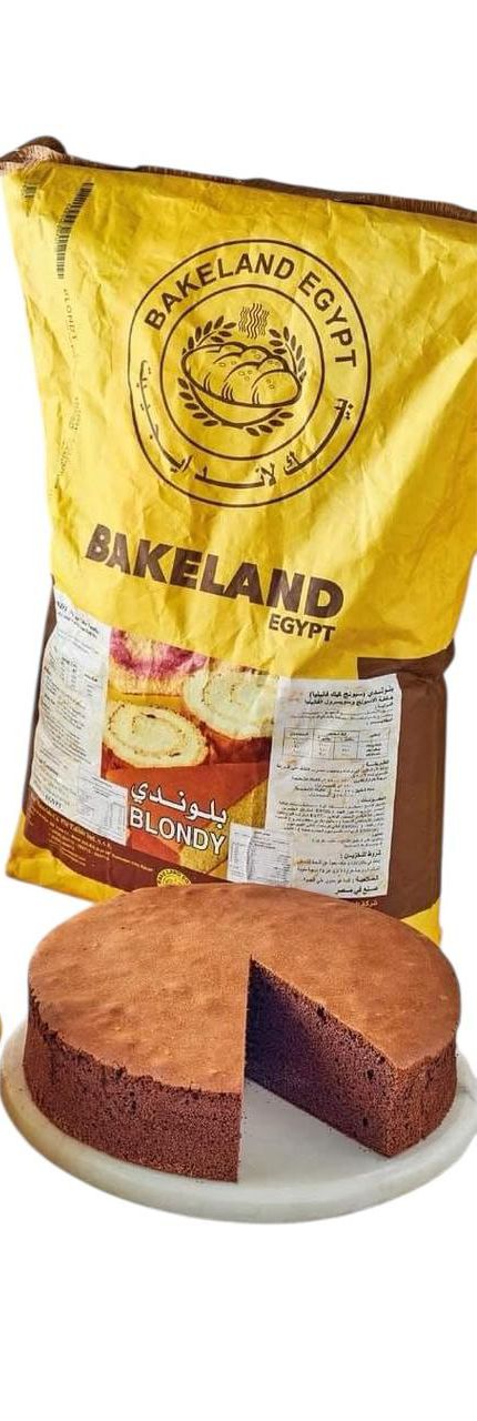 اسبونج شيكولاتة
